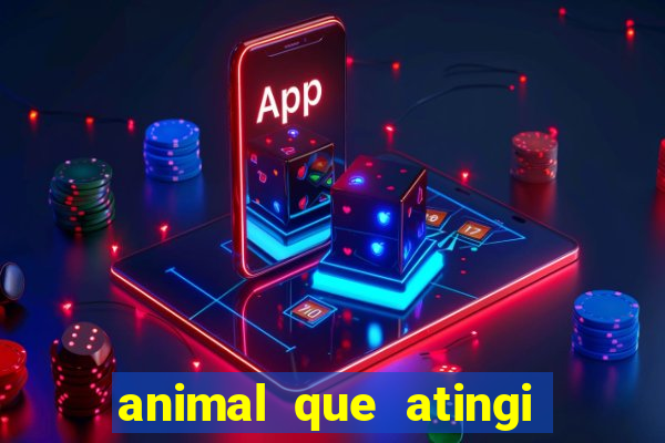 animal que atingi 230 decibeis